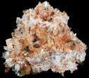 Orange Creedite Crystal Cluster - Durango, Mexico #51668-1